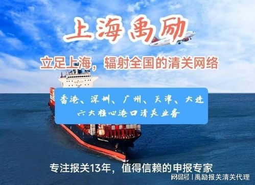 上海出口代理報關服務 專業(yè)商務代理，助您高效通關